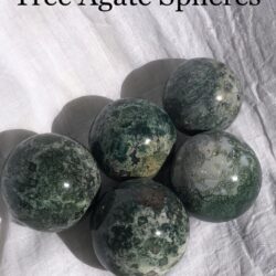 Tree Agate Spheres